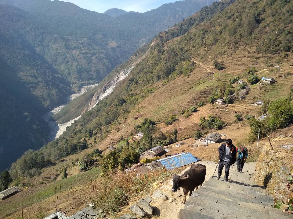 Scenic Nepal travel illustration for Nar Phu Valley Trekking