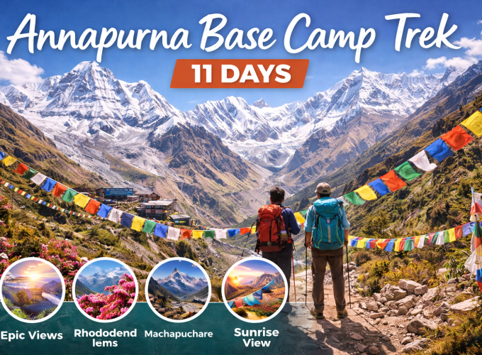 Trekkers walking toward Annapurna Base Camp with prayer flags, rhododendron flowers, and snow-covered Annapurna peaks during an 11-day trek in Nepal